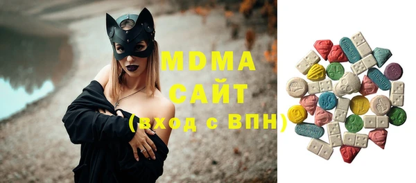 спиды Ельня