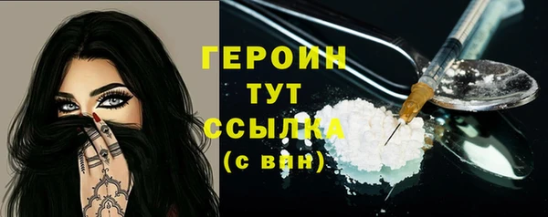спиды Ельня