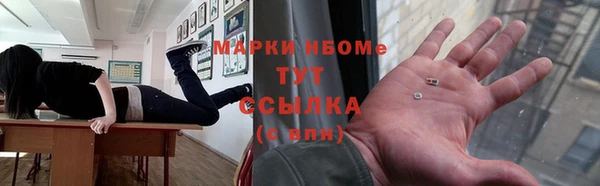 спиды Ельня