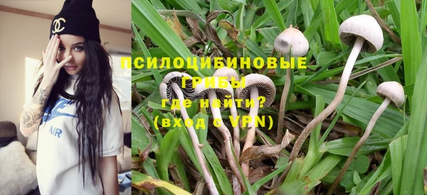 ешки Елизово