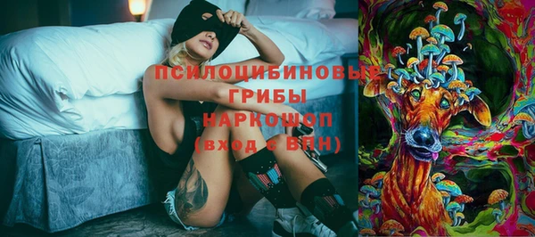 дмт Заволжье