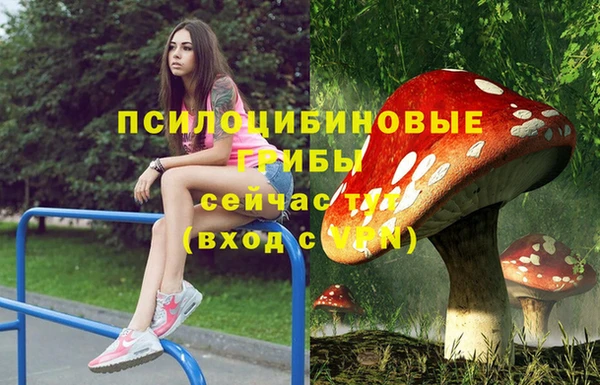 бошки Елабуга