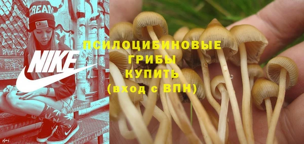 спиды Ельня