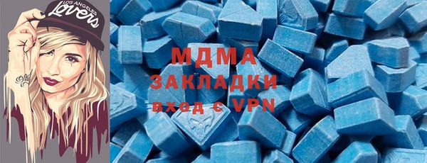 спиды Ельня