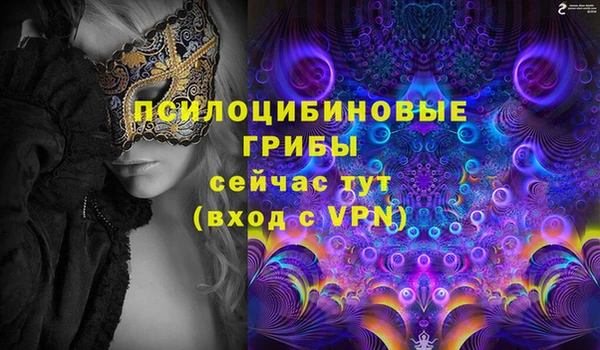 бошки Елабуга