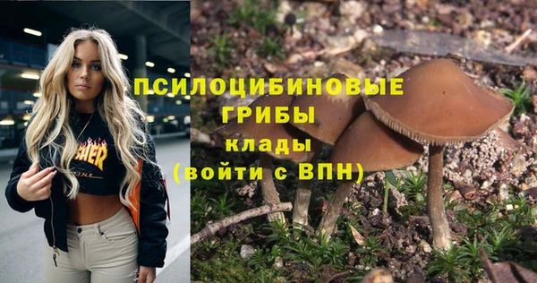 ешки Елизово