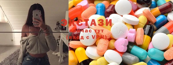 спиды Ельня